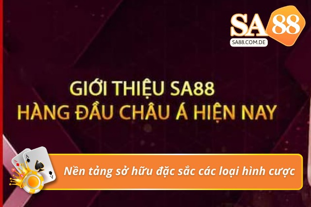 Trang cược làm mới loại hình cược thu hút người chơi